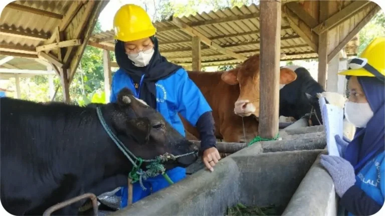 Keberlanjutan dan Lingkungan dalam Agribisnis Susu Kambing