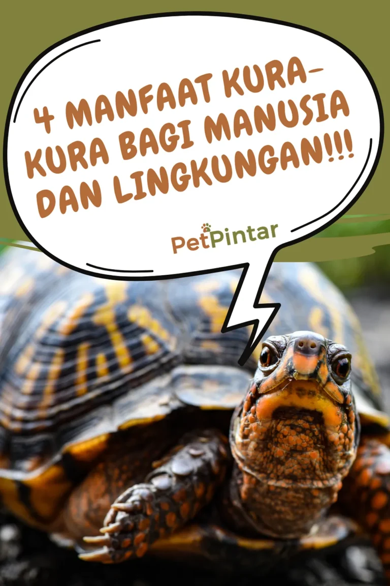 Keberlanjutan dan Lingkungan dalam Peternakan Kura-Kura