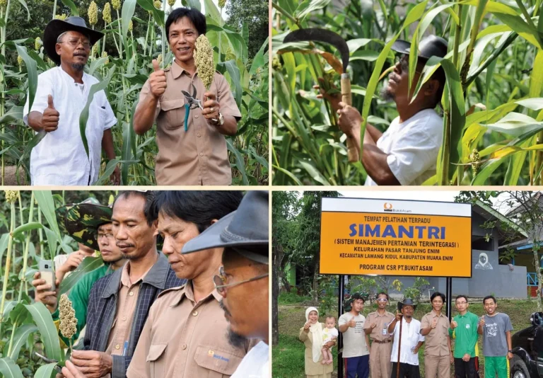 Keberlanjutan dan Pertumbuhan Agribisnis