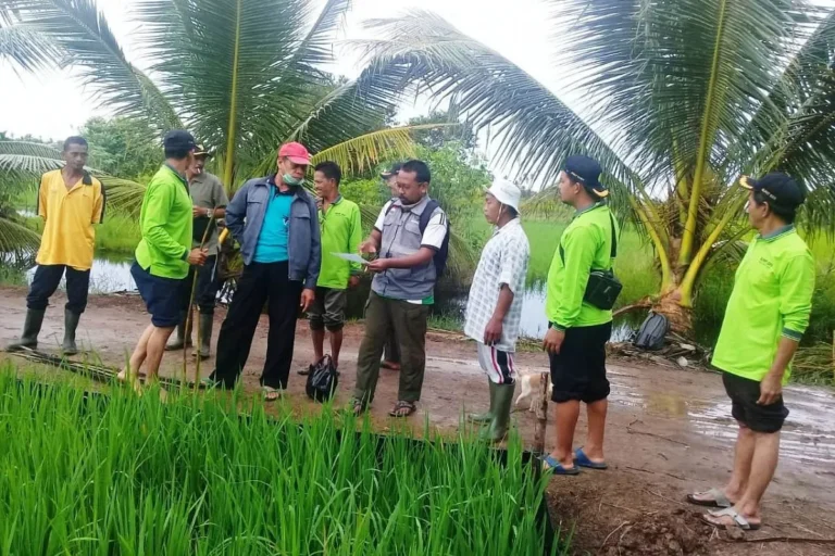 Keberlanjutan Sistem Pemasaran Agribisnis dan Dampaknya