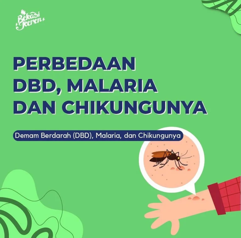 Kendala Umum dalam Ternak Nyamuk
