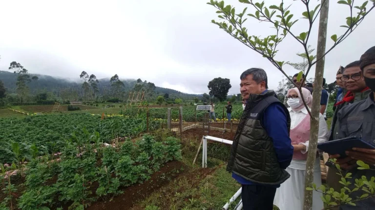 Keunggulan Agribisnis Berbasis Komunitas