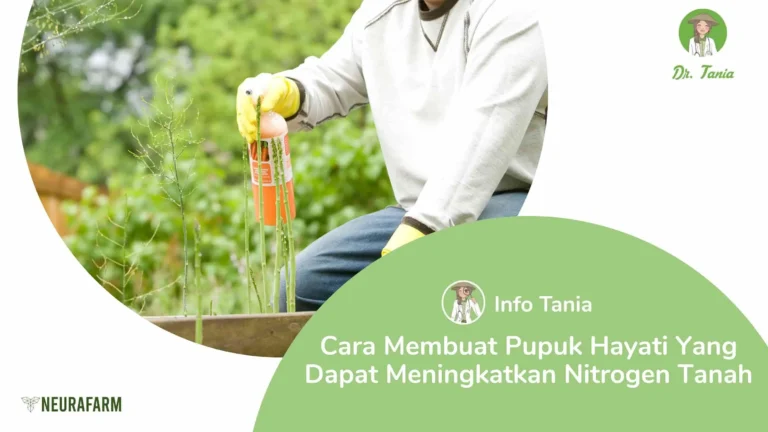 Keunggulan Pupuk Hayati dalam Pertanian