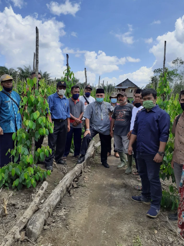 Keunggulan Pupuk Kandang dalam Pertanian