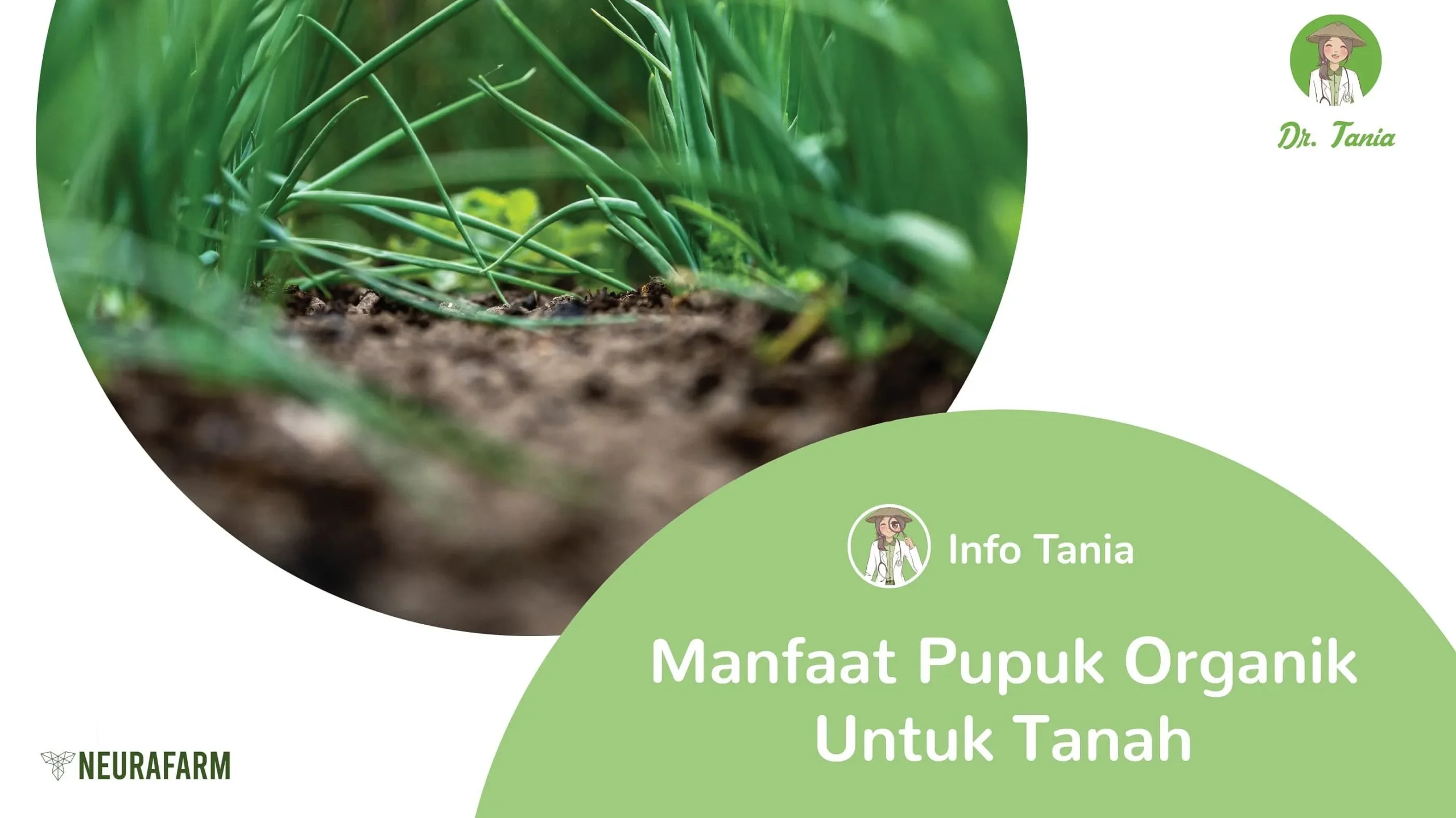 Keunggulan Pupuk Organik dalam Pertanian