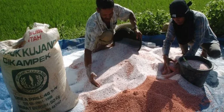 Keunggulan Pupuk Organik dibanding Pupuk Kimia