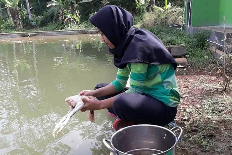 Keuntungan Usaha Perikanan Air Tawar