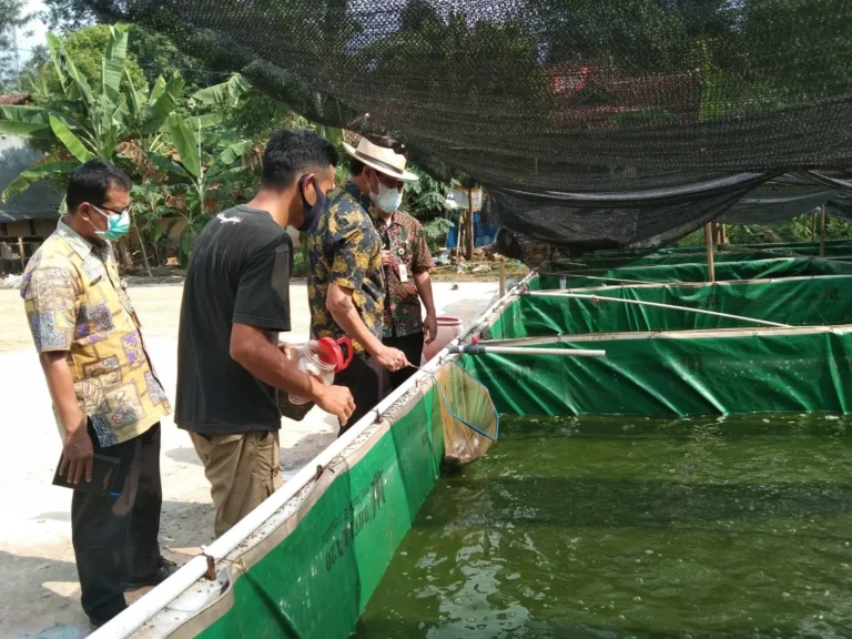 Keuntungan Usaha Perikanan Air Tawar