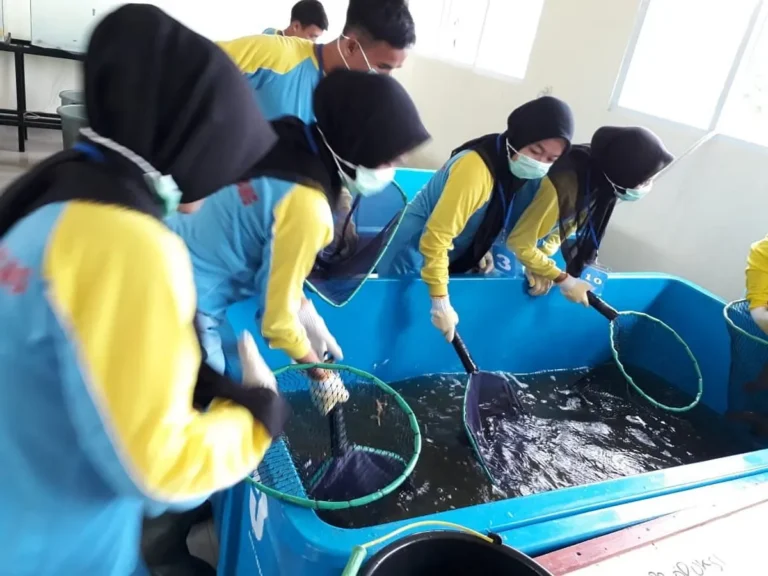 Keuntungan Usaha Perikanan Air Tawar