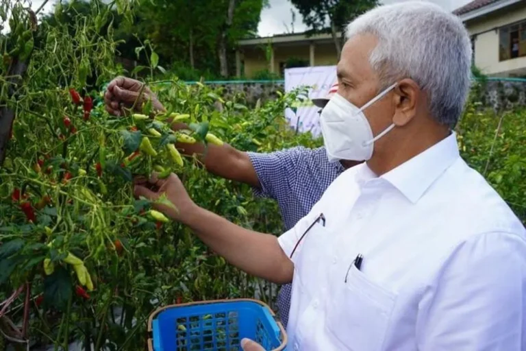 Kunci Sukses Agribisnis Berkelanjutan