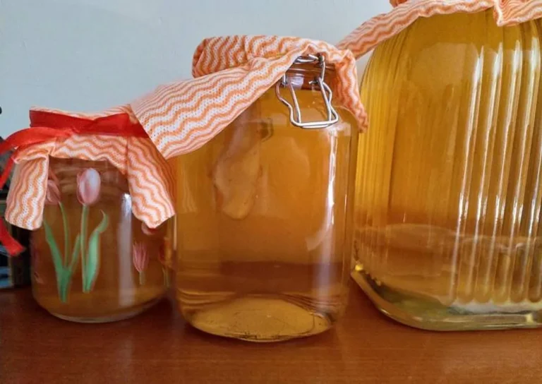Langkah-langkah Cara Ternak Kombucha