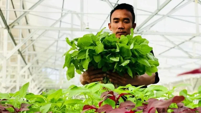 Maksimalkan Potensi Pertanian: Memilih Antara Agribisnis dan Agroteknologi