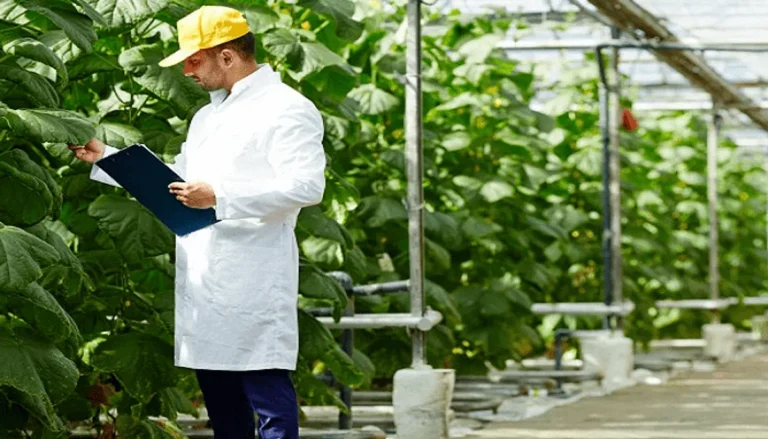 Manajemen Agribisnis yang Efisien