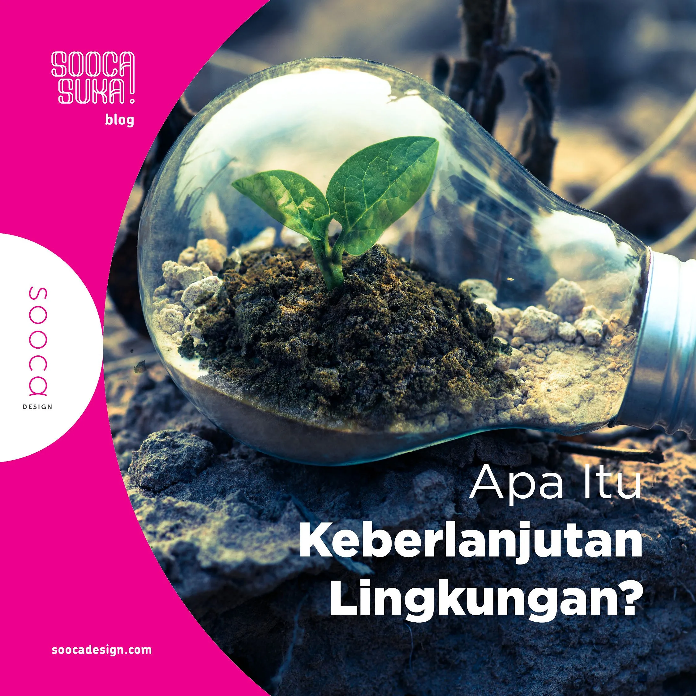 Manajemen Sumber Daya Air dalam Pertanian Berkelanjutan
