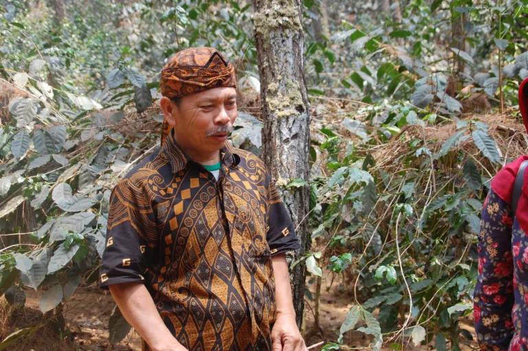 Manfaat Agribisnis Organik untuk Petani