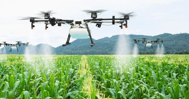Manfaat Agroteknologi bagi Pertanian
