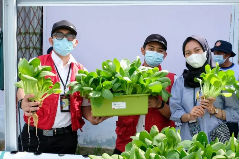 Manfaat dan Dampak Positif Manajemen Keberlanjutan