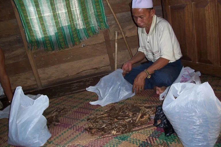 Manfaat Ekonomi Agribisnis dan Pengolahan Gaharu