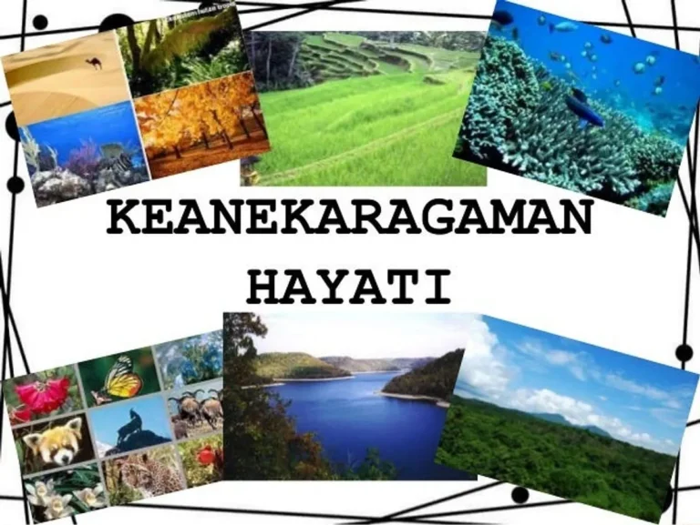 Manfaat Ekosistem Keseimbangan dengan Agribisnis