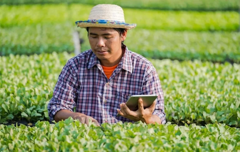 Masa Depan Agribisnis dan Teknologi Pemupukan