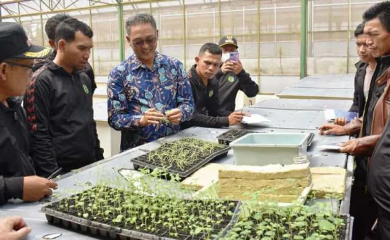 Masa Depan Agribisnis Minat Agrofarmaka
