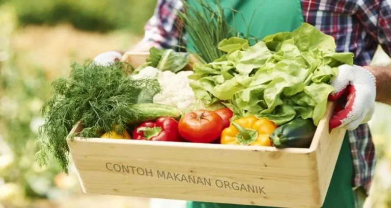 Masa Depan Pemrosesan Makanan dalam Agribisnis