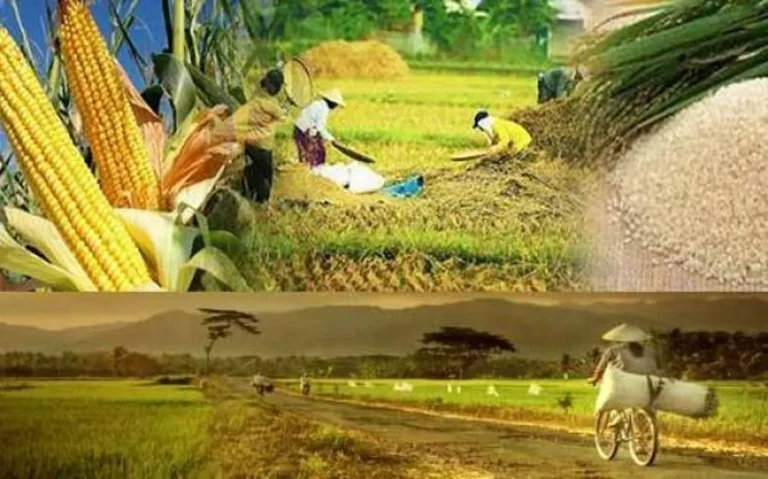 Masa Depan Teknologi Pemeliharaan Ternak