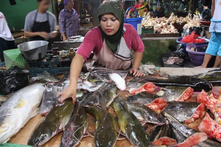 Memanen dan Mendapatkan Keuntungan