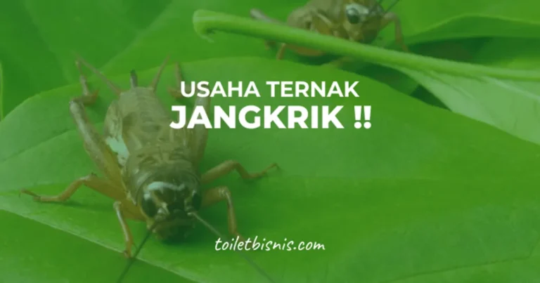 Memasarkan Produk: Peluang Bisnis Ternak Jangkrik