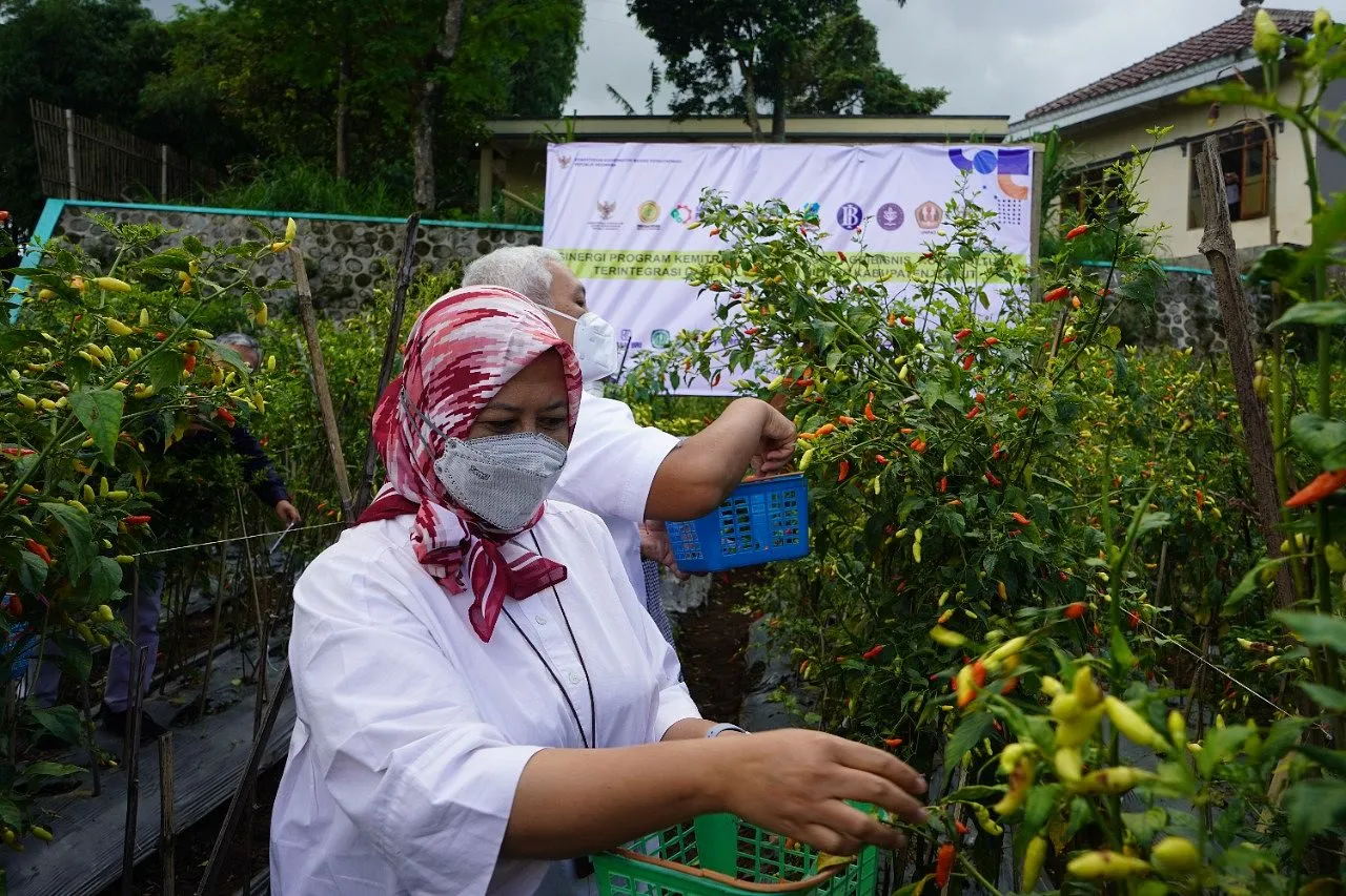 Membangun Fondasi Kemitraan Agribisnis yang Kokoh