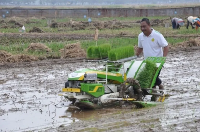 Membangun Kemandirian Petani dalam Agribisnis