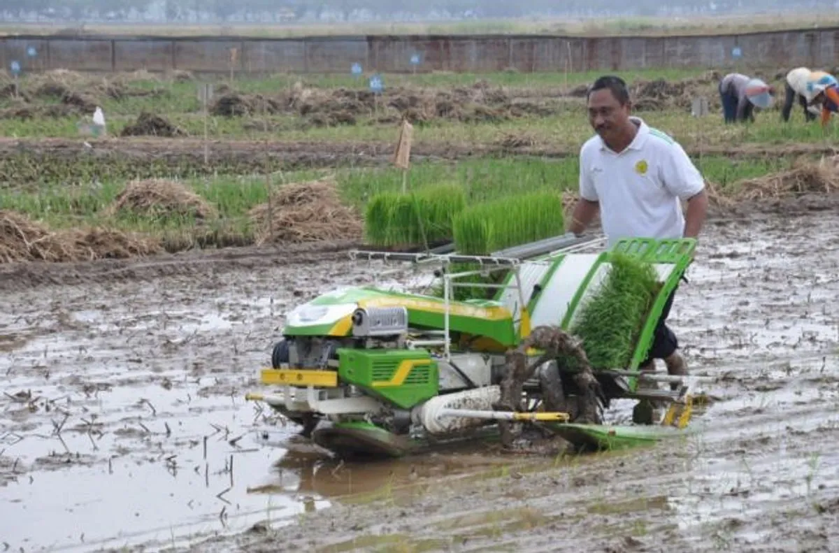 Membangun Kemandirian Petani dalam Agribisnis