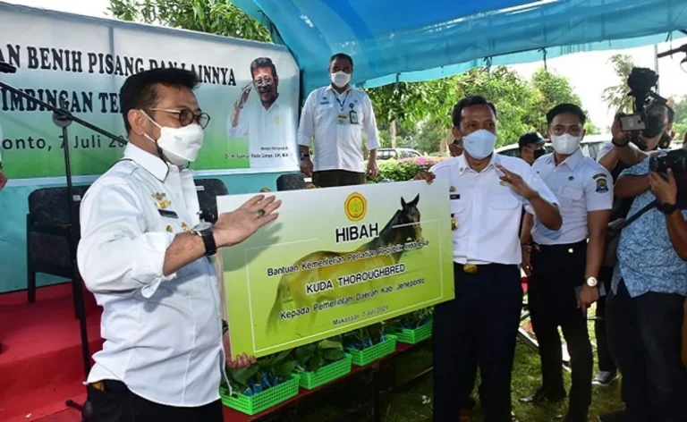 Membangun Sinergi Antara Pemerintah, Agribisnis, dan Koperasi Pertanian