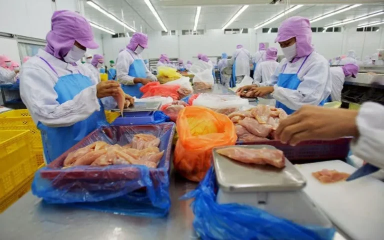Membawa Teknik Pemotongan Ayam ke Tingkat Lanjut