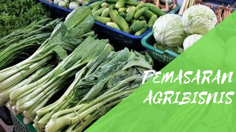 Memilih Bidang Investasi Agribisnis yang Tepat