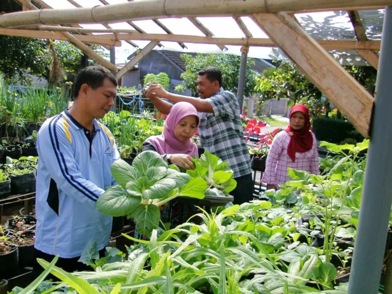 Memilih Tanaman Unggulan dalam Usaha Agribisnis yang Menjanjikan