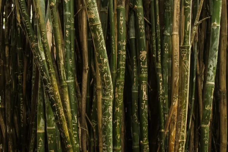Mempromosikan Produk Bambu dan Membangun Merek