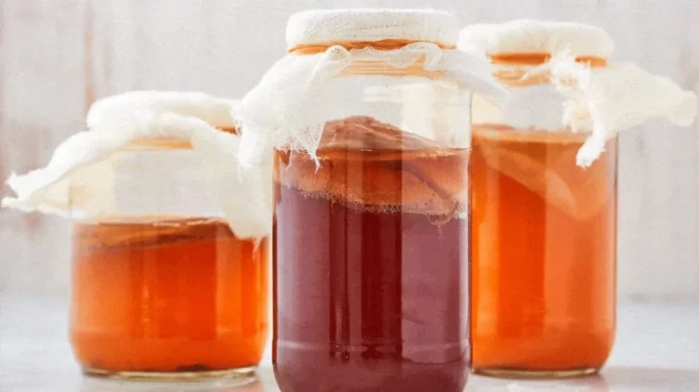 Memulai Kombucha: Trik Dasar