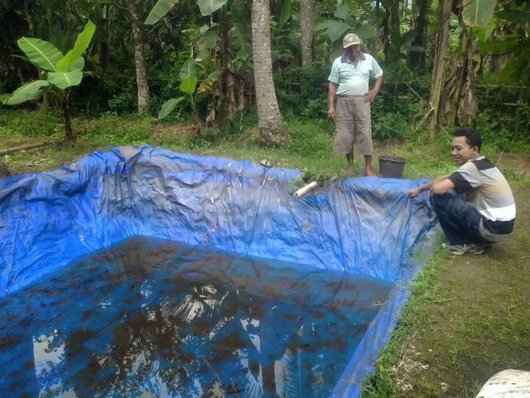 Memulai Petualangan Anda dalam Cara Ternak Ikan Gabus