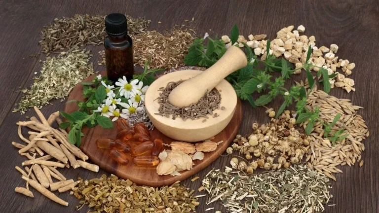 Menanam Tanaman Obat Herbal yang Menguntungkan