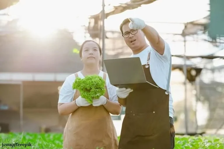 Mencari Peluang Karir dalam Agribisnis
