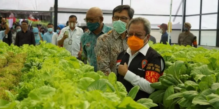 Mengapa Agribisnis dan Koperasi Pertanian Saling Berkaitan