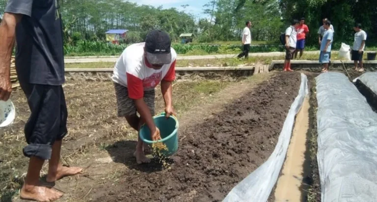 Meningkatkan Kesuburan Tanah