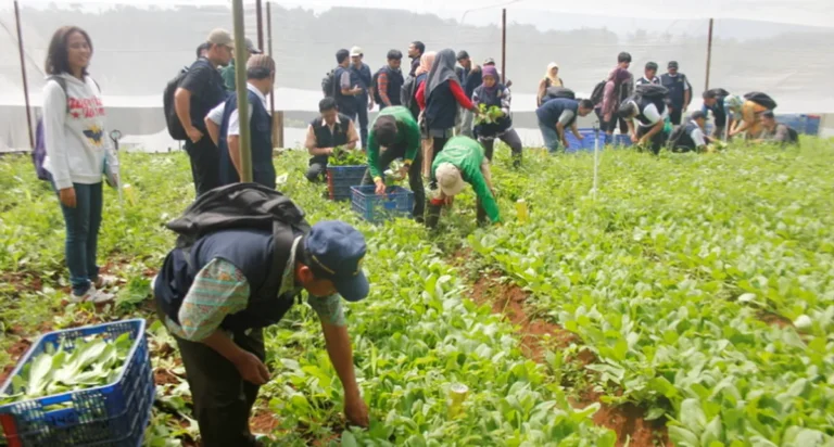 Meningkatkan Ketahanan Pangan melalui Agribisnis Berkelanjutan