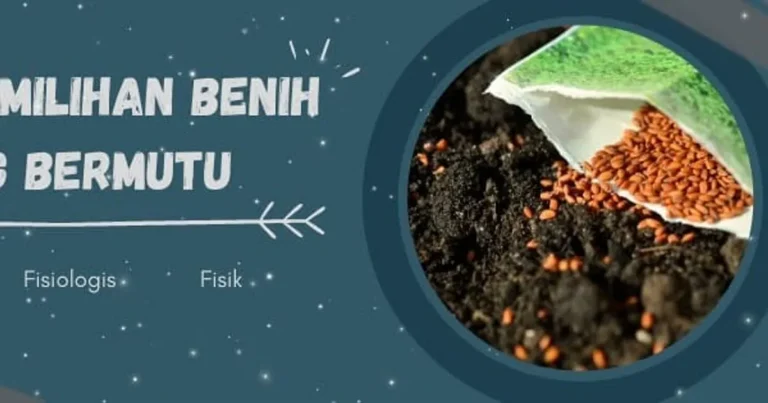 Meningkatkan Kualitas Benih dalam Pertanian