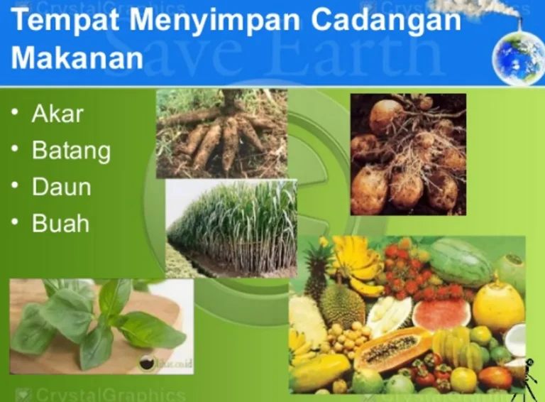 Meningkatkan Kualitas Benih Tanaman