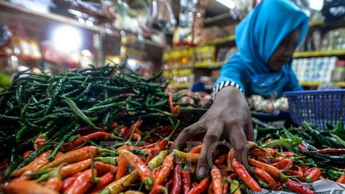 Meningkatkan Produksi Cabai di Indonesia
