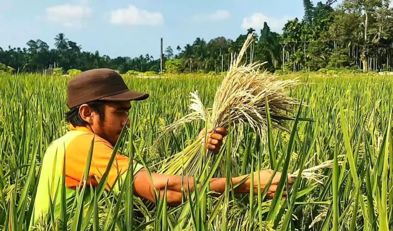 Meningkatkan Produktivitas Pertanian dengan Pengendalian Hama yang Efektif