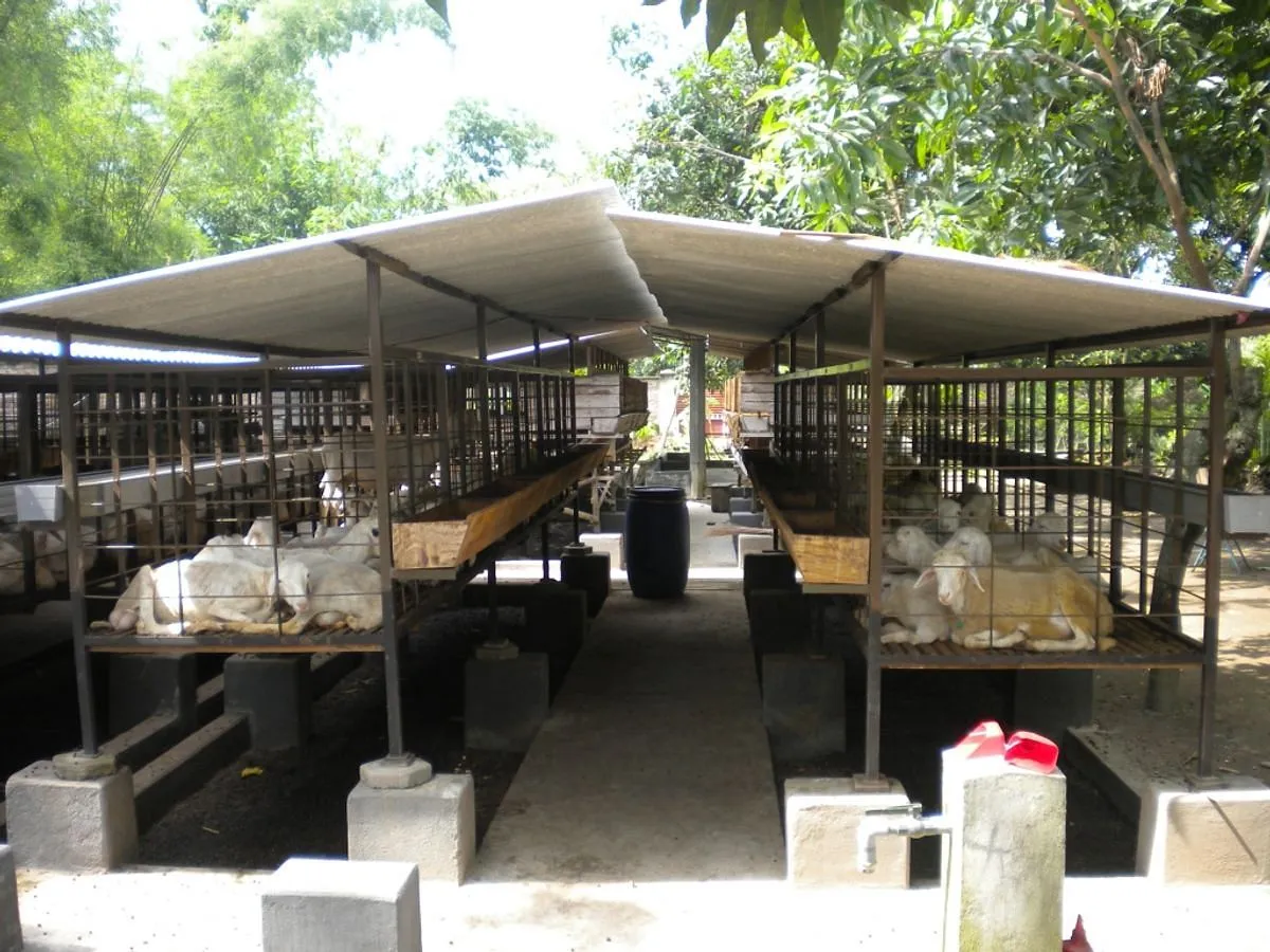 Menyediakan Tempat Tinggal yang Aman dan Nyaman