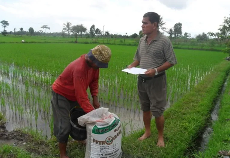 Menyusun Rencana Pemupukan yang Tepat
